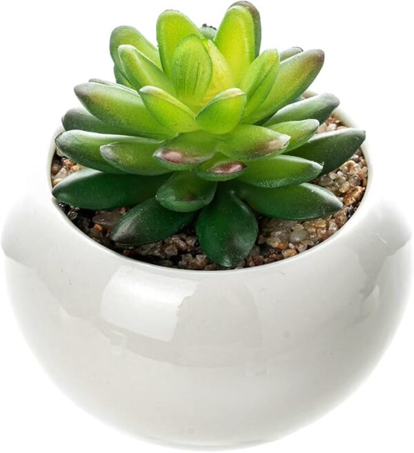 Mini Plant Artificial Flowers Decoration | Artificial Plants Ball For Home (1 Pc Round Shape) - Image 2