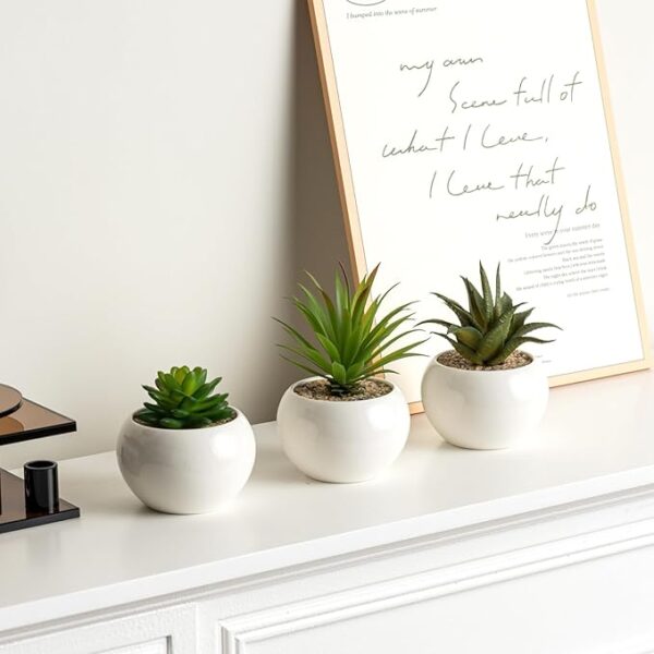 Mini Plant Artificial Flowers Decoration | Artificial Plants Ball For Home (1 Pc Round Shape) - Image 4